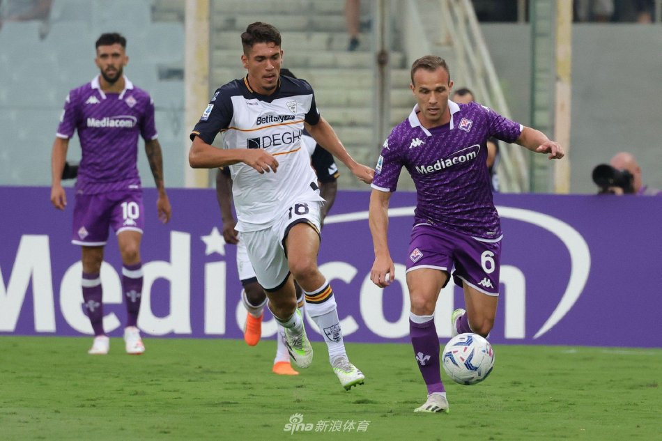 家队的金色 家队的金色